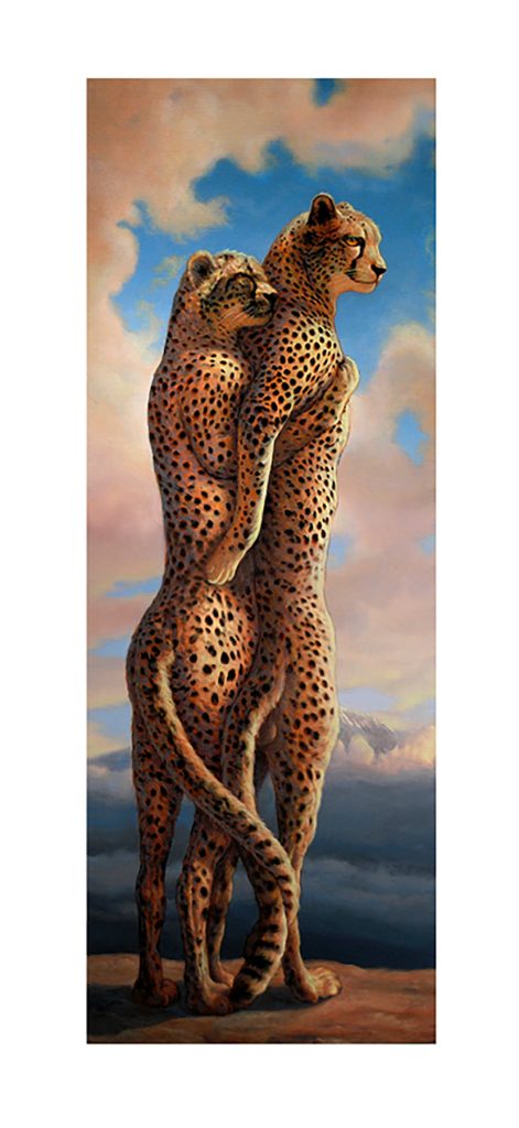 Cheetah In Love